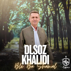 Dlsoz Khalidi - Hay Lele