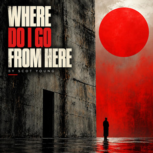 WHERE DO I GO FROM HERE by Scot Young
