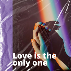 Dany Sound - Love Is the Only One