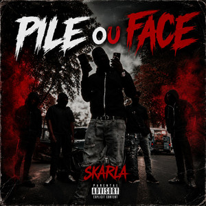 Pile ou face by Skarla 75