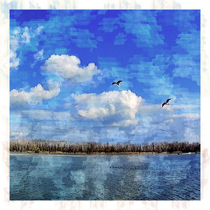 Обкладинка: Waltzing Breeze