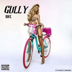Gully Bike