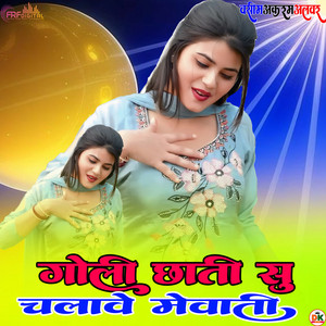 गोली छाती सु चलावे मेवाती by Sahin Khan Mewati, Wasim Akram Alwar