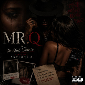 Mr. Q by Soulful Skonie, Anthony Q.