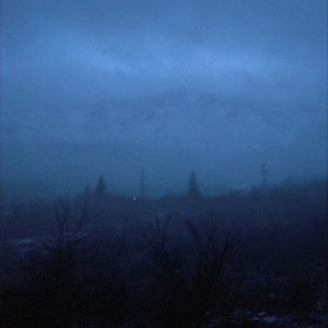 alive by Envacity