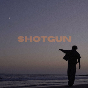 Shotgun by Franco K
