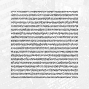 Zones of Privacy - Lawrence English Remix by Yann Novak, Lawrence English