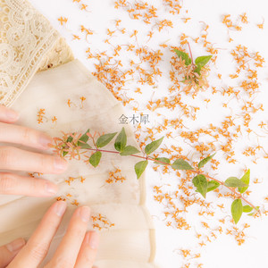 fragrant olive