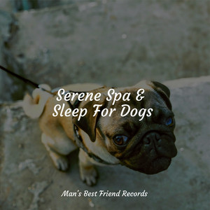 Serene Spa & Sleep For Dogs album