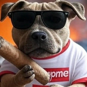 DOGBRAVO COMPOSITOR - "Sabor Você"