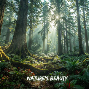 Rest of the Soul - Nature’s Beauty