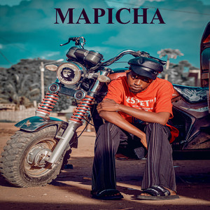 Mapicha (feat. Klassik Beatxz Wanaman Mz)