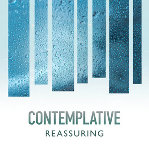 zZz Contemplative Reassuring Rain Ambiance zZz album