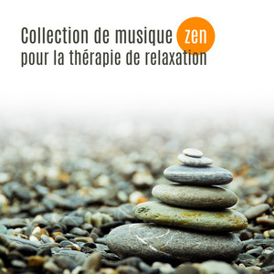 Le shiatsu (Soulager les douleurs) by Florent Rousmont