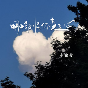 哪敢怪你变了心 by 卡迪哥