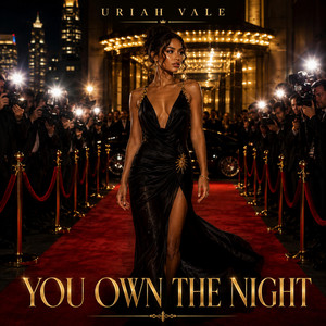 You Own The Night by Uriah Vale