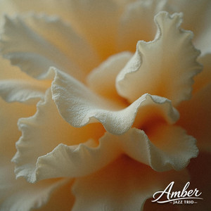Brushed Steel by Amber Jazz Trio