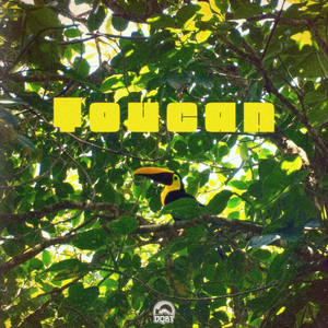 Toucan by bert cussion, Stapes