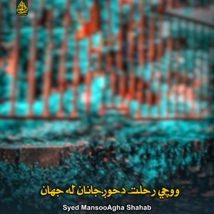 Syed MansooAgha Shahab - زمادمسليم اوبخاري اوستاده
