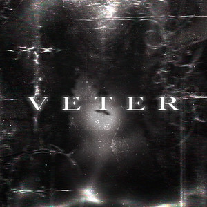 Falling Under the Reality by V E T E R