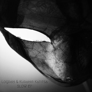 Logdam cover