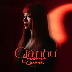 DJ Tit - Giá Như Em Biết Cách Quên Đi