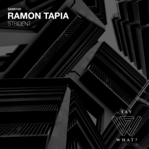 Bounce by Ramon Tapia