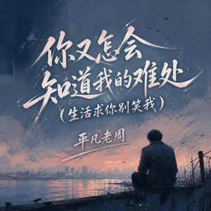 你又怎会知道我的难处 (R&B氛围版) by 唐梦姿