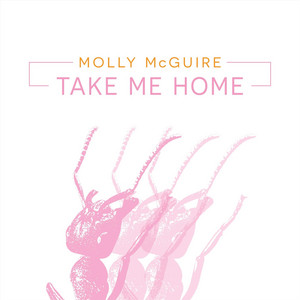 Take Me Home by Molly McGuire