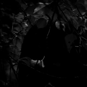 Pohjola — I'm tired