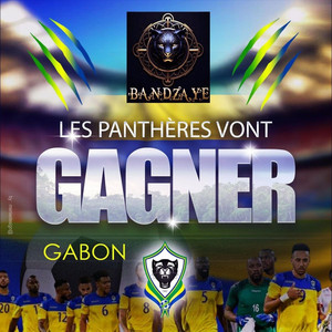 MVEO_Green_Yellow_Bleu - Les panthères vont gagner