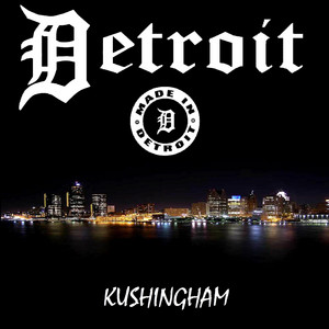 Motor City Madness - Instrumental by Kushingham Album Cover