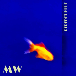 Perfect Blue by MW