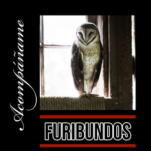 Furibundos - Patearla
