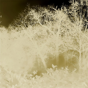 Erick McNerney - Sad Background