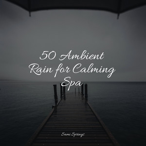 50 Summer Rainstorm Songs album