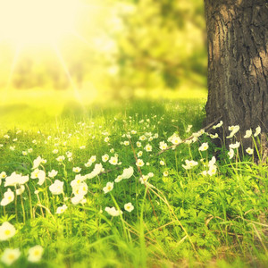 Music for Positive Affirmations - Motivational Words album