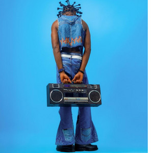 Zany zee - In the air
