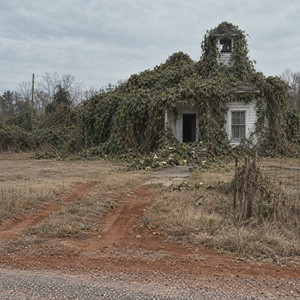PEACE FEELIN' MID by Southern Phantoms