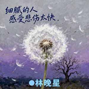 细腻的人,感受悲伤太快