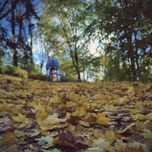 Fall Blossom by l'eupe