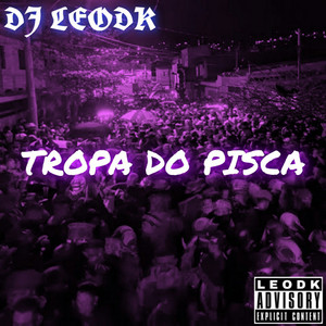 Montagem Automotiva - Tropa do Pisca