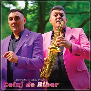 Boby Dragomir - Colaj De Bihor (feat. Marin Ribițanu)