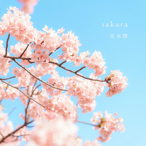 sakura by Sakura Sakamoto