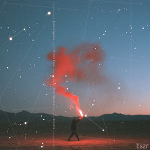 Secrets - feat. True Motion by Josh Gigante, Prana Flow, True Motion
