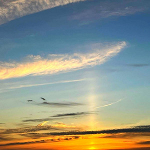 Roaming The Sky