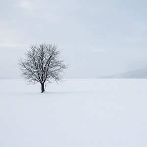 Cryst-Halt by Winter Piano