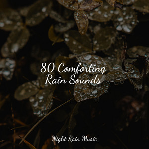 80 Comforting Rain Sounds album
