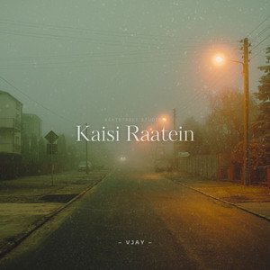 Vjay - Kaisi Raatein