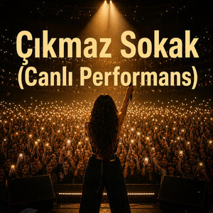 Çıkmaz Sokak - Konser Kaydı by Anatolian spirit rock cover